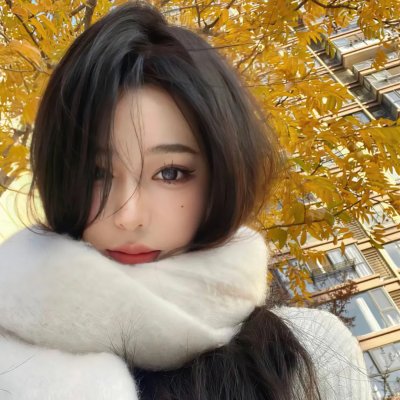喀布尔的燕子